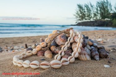 Puka Shell Necklace